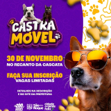 Esta ação tem como objetivo o controle da população de animais de estimação e a promoção do bem-estar animal e da saúde pública. Arte: Divulgação