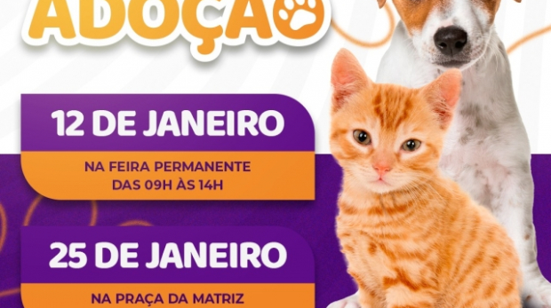 Feira de Adoção de Animais em São Roque. Arte: Prefeitura de São Roque