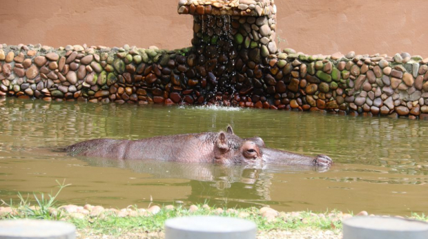 Programação Especial de Férias no Parque Zoológico Municipal "Quinzinho de Barros". Foto: Prefeitura de Sorocaba