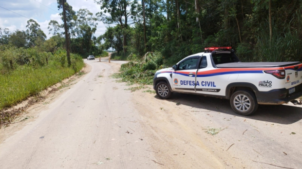 Ação da Defesa Civil para liberar o tráfego, com a remoção do pinheiro bloqueador da estrada. Foto: Prefeitura de Mairinque