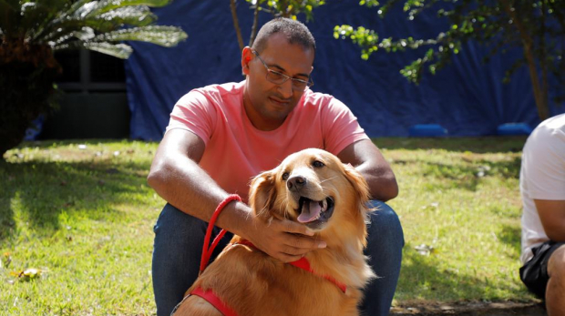 O pet deve ser conduzido de maneira adequada para o local de castração: cães com coleira e focinheira, e felinos transportados em caixas apropriadas para o porte de cada animal. Foto: Prefeitura de Barueri