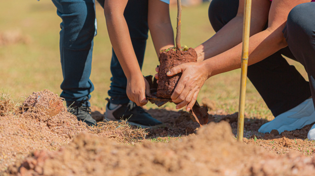 Venha celebrar os 66 anos de Itapevi com muito aprendizado e diversão! Feira Socioambiental, 6ª Cãominhada e Feira de Adoção de Pets neste sábado, das 8h às 14h no Parque da Cidade." Foto: Prefeitura de Itapevi