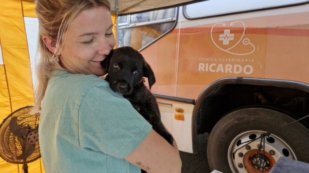 A Prefeitura de São Roque, em parceria com o Departamento de Zoonoses, oferece castração gratuita para cães e gatos no bairro Saboó. Não perca a chance de garantir a saúde e o bem-estar do seu pet.  Foto: Prefeitura de São Roque