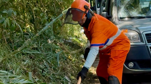 Prefeitura de Mairinque intensifica os serviços de roçada e limpeza nas principais vias da cidade, garantindo mais segurança e organização para todos. Foto: Prefeitura de Mairinque