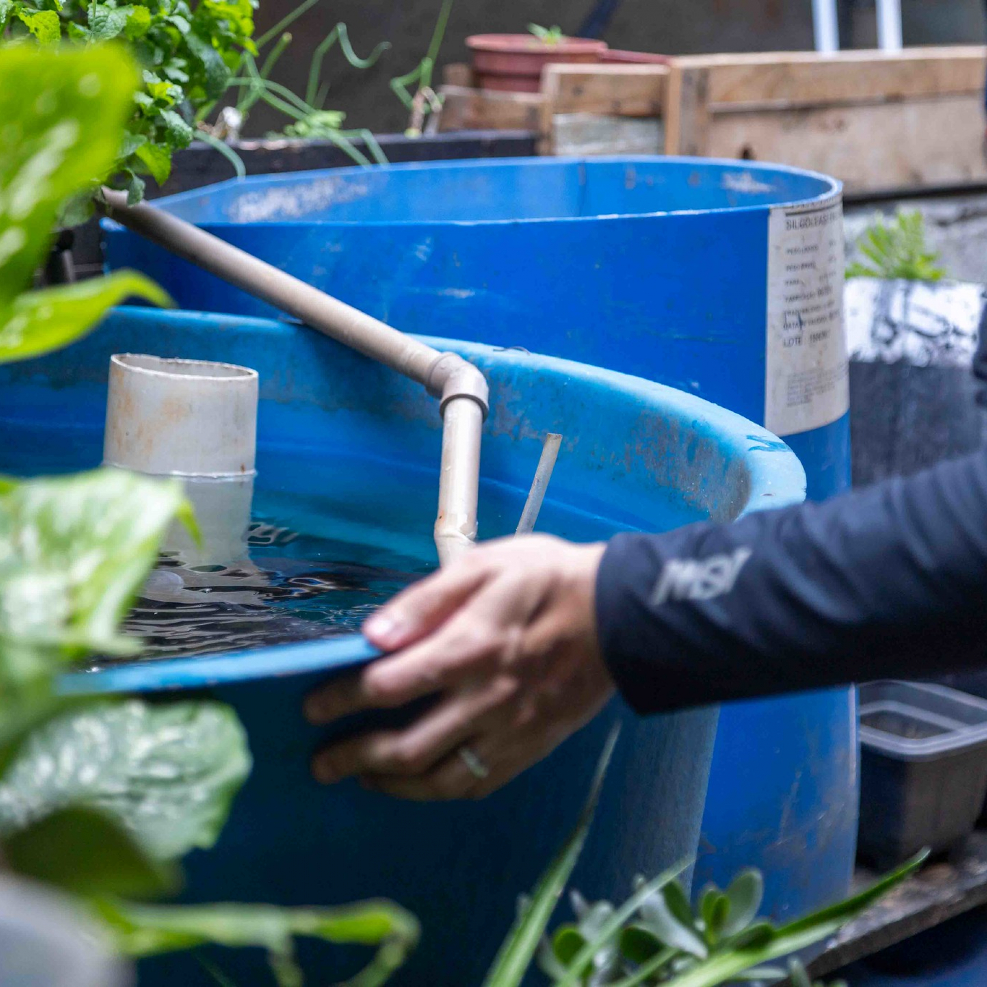Agentes de saúde percorrem o bairro Vitápolis durante o mutirão contra o Aedes aegypti, orientando moradores e eliminando focos do mosquito. Foto: Prefeitura de Itapevi