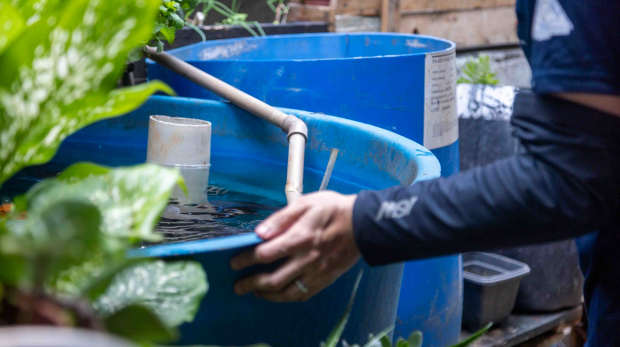 Agentes de saúde percorrem o bairro Vitápolis durante o mutirão contra o Aedes aegypti, orientando moradores e eliminando focos do mosquito. Foto: Prefeitura de Itapevi