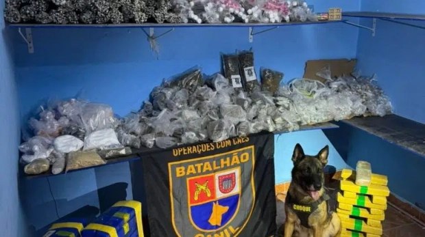 No local, havia 156 quilos de drogas, entre maconha, cocaína, crack, MD, LSD e ecstasy. Foto: Divulgação/Governo de SP