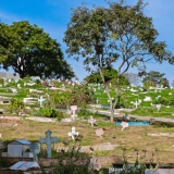 Com 2 mil lóculos previstos na primeira fase, o novo espaço no Cemitério Santo Antônio representa um avanço na gestão urbana e respeito à população. Foto: Fernanda Cazarini