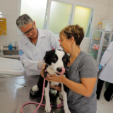 04062025-fique-atento-vacinacao-contra-a-raiva-para-caes-e-gatos-tem-alteracoes-em-junho-devido-a-feriados-0