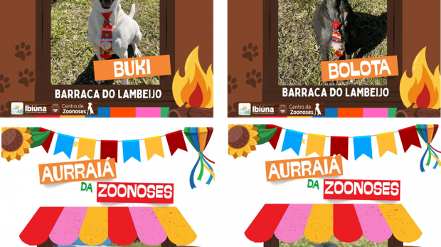 Fofura garantida na Barraca do Lambeijo! Pets prontos para adoção no Aurraiá da Zoonoses em Ibiúna. Arte: Redes Sociais (Reprodução)