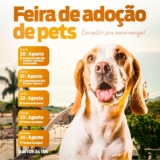 ♿ #PraTodosVerem :
Na imagem, aparecem informações sobre a Feira de Adoção de Pets em Barueri, com fotos de cães e gatos disponíveis para adoção. Os locais e horários variam ao longo dos dias 20 a 24 de agosto. Todos os animais estão castrados, vacinados e vermifugados. A campanha é promovida pela SEMA Barueri e CEPAD. Foto: Prefeitura De Barueri ( Redes Sociais/ Reprodução)