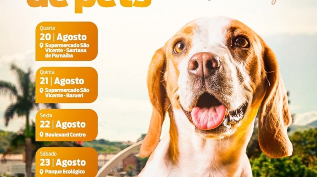 ♿ #PraTodosVerem :
Na imagem, aparecem informações sobre a Feira de Adoção de Pets em Barueri, com fotos de cães e gatos disponíveis para adoção. Os locais e horários variam ao longo dos dias 20 a 24 de agosto. Todos os animais estão castrados, vacinados e vermifugados. A campanha é promovida pela SEMA Barueri e CEPAD. Foto: Prefeitura De Barueri ( Redes Sociais/ Reprodução)