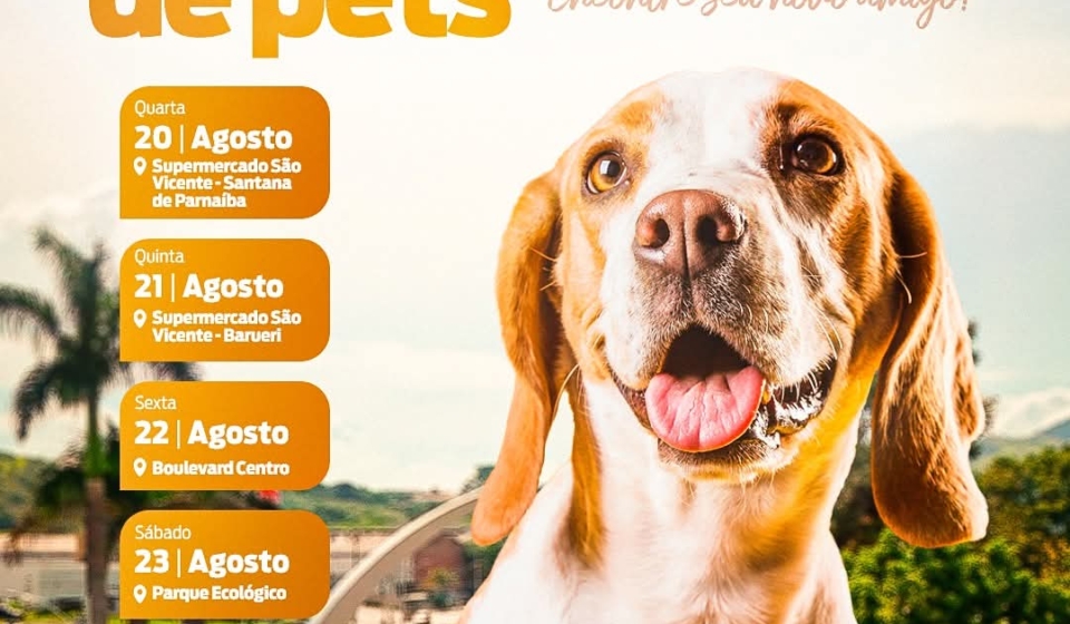 ♿ #PraTodosVerem :
Na imagem, aparecem informações sobre a Feira de Adoção de Pets em Barueri, com fotos de cães e gatos disponíveis para adoção. Os locais e horários variam ao longo dos dias 20 a 24 de agosto. Todos os animais estão castrados, vacinados e vermifugados. A campanha é promovida pela SEMA Barueri e CEPAD. Foto: Prefeitura De Barueri ( Redes Sociais/ Reprodução)
