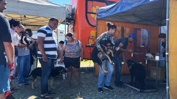 Mutirão Castra Pet oferece castração gratuita para cães e gatos em Mairinque, promovendo saúde e bem-estar animal. Ação acontece nos bairros Jardim Vitória e Lagoinha, nos dias 6 e 7 de setembro. Foto: Prefeitura De Mairinque (Redes Sociais/ Reprodução)