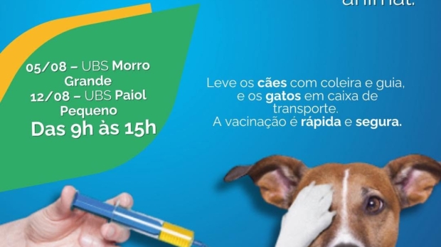 Prefeitura de Ibiúna inicia campanha gratuita de vacinação antirrábica em cães e gatos.
Imunização é essencial para manter a saúde animal e prevenir a raiva no município. Foto: Prefeitura De Ibiúna (Redes Sociais/Reprodução)