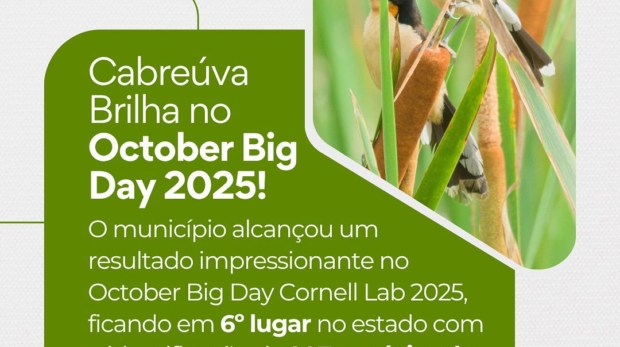 Cabreúva brilha no October Big Day 2025: 207 espécies de aves registradas em apenas um dia! Prefeitura De Cabreúva (Redes Sociais/Reprodução)