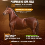 Cavalos, música e diversão: viva a emoção da Copa de Marcha Mangalarga Marchador! Foto: Prefeitura De Pirapora Do Bom Jesus (Redes Sociais/Reprodução)