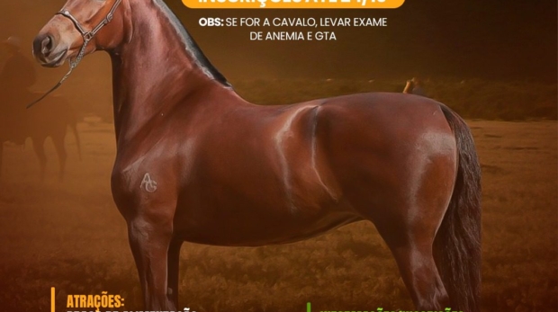 Cavalos, música e diversão: viva a emoção da Copa de Marcha Mangalarga Marchador! Foto: Prefeitura De Pirapora Do Bom Jesus (Redes Sociais/Reprodução)