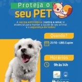 Proteja seu pet: vacinação antirrábica acontece na UBS do Cupim em 21/10, das 9h às 14h - Foto: Prefeitura De Ibiúna (Redes Sociais/Reprodução)