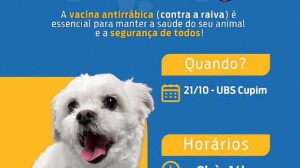 Proteja seu pet: vacinação antirrábica acontece na UBS do Cupim em 21/10, das 9h às 14h - Foto: Prefeitura De Ibiúna (Redes Sociais/Reprodução)
