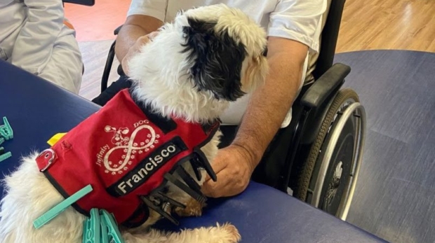 Pacientes da YUNA participam de sessão do Tratamento Assistido por Animais, promovendo bem-estar e motivação.