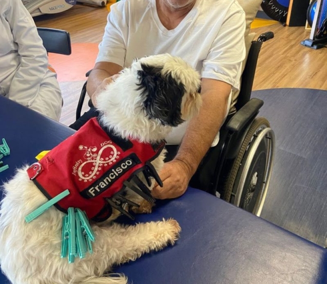 Pacientes da YUNA participam de sessão do Tratamento Assistido por Animais, promovendo bem-estar e motivação.