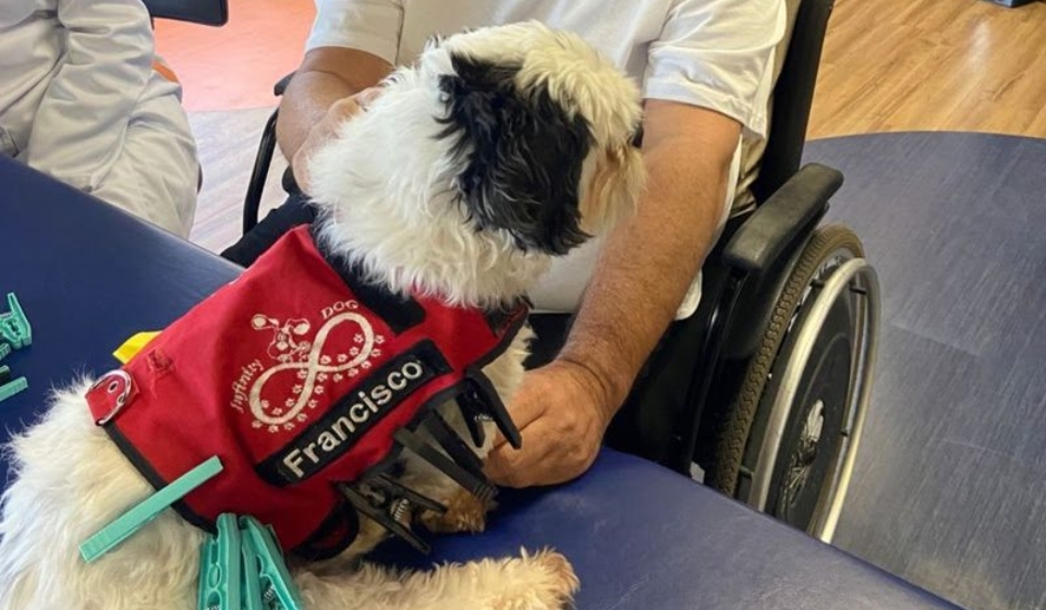 Pacientes da YUNA participam de sessão do Tratamento Assistido por Animais, promovendo bem-estar e motivação.