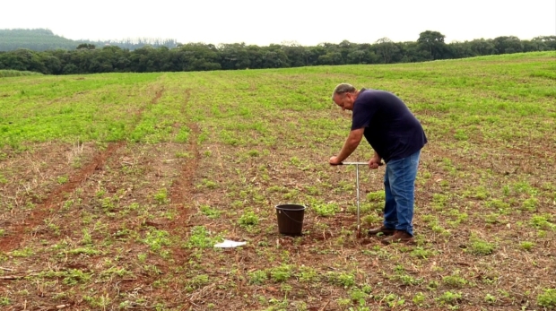 Coleta de solo para análise_ Foto de divulgação da CATI