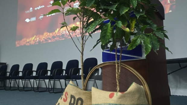 Dois pés de café ladeiam duas sacas com a inscrição “Cafés do Brasil”, enquanto um bule metálico em primeiro plano reforça a tradição e a riqueza da cultura cafeeira paulista.