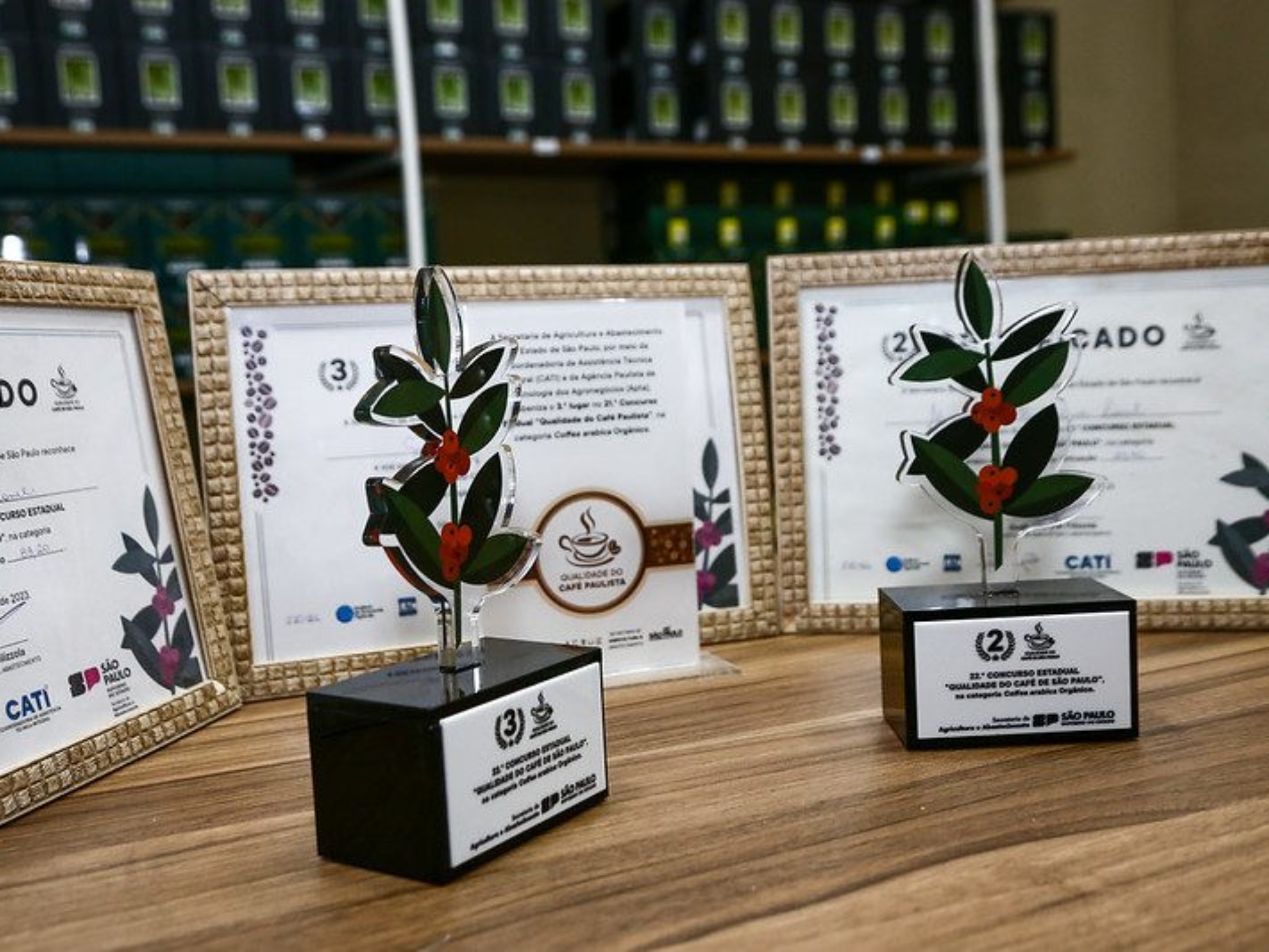 Troféus da edição de 2024. Foto de Gilberto Marques_SAA