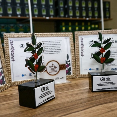 Troféus da edição de 2024. Foto de Gilberto Marques_SAA