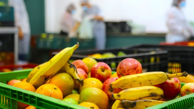 Osasco foi premiada pelo Governo Federal na 1ª edição do “Prêmio Brasil Sem Fome”, reconhecida por suas políticas inovadoras de segurança alimentar e gestão integrada do Sisan. Foto: SECOM/ PMO