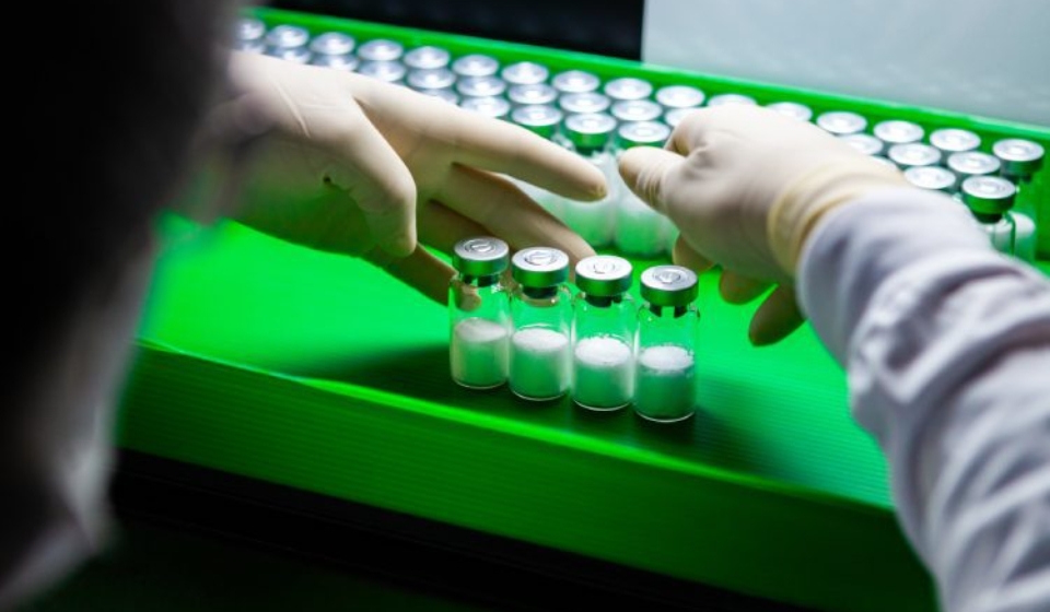 Após o sucesso do estudo da dengue, o Butantan alcançou um patamar que o torna uma instituição completa. Fotos: Instituto Butantan