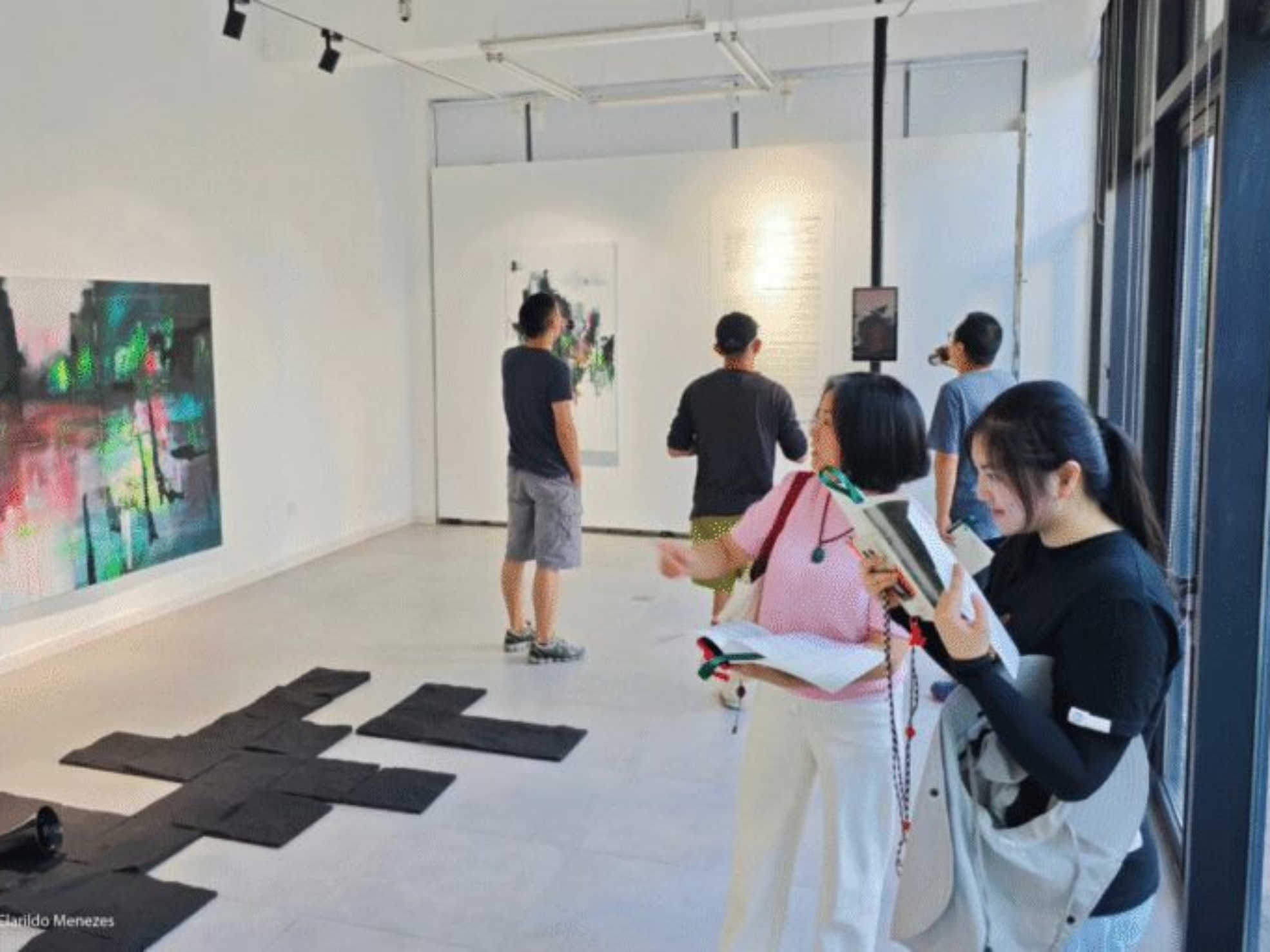 site-exposicao-vicente-saldanha-ibrachinav2-768x512