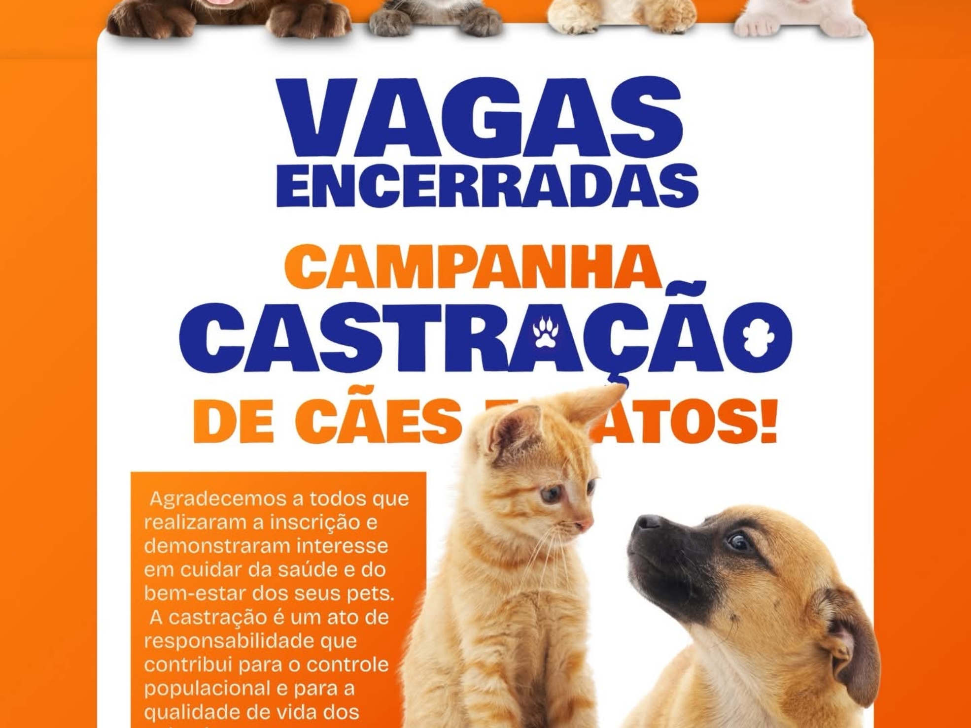 Campanha de castração promovida pela Prefeitura de Jandira reforça a importância do cuidado responsável e do bem-estar de cães e gatos no município. Foto: Prefeitura De Jandira (Redes Sociais/Reprodução) 🐶🐱
