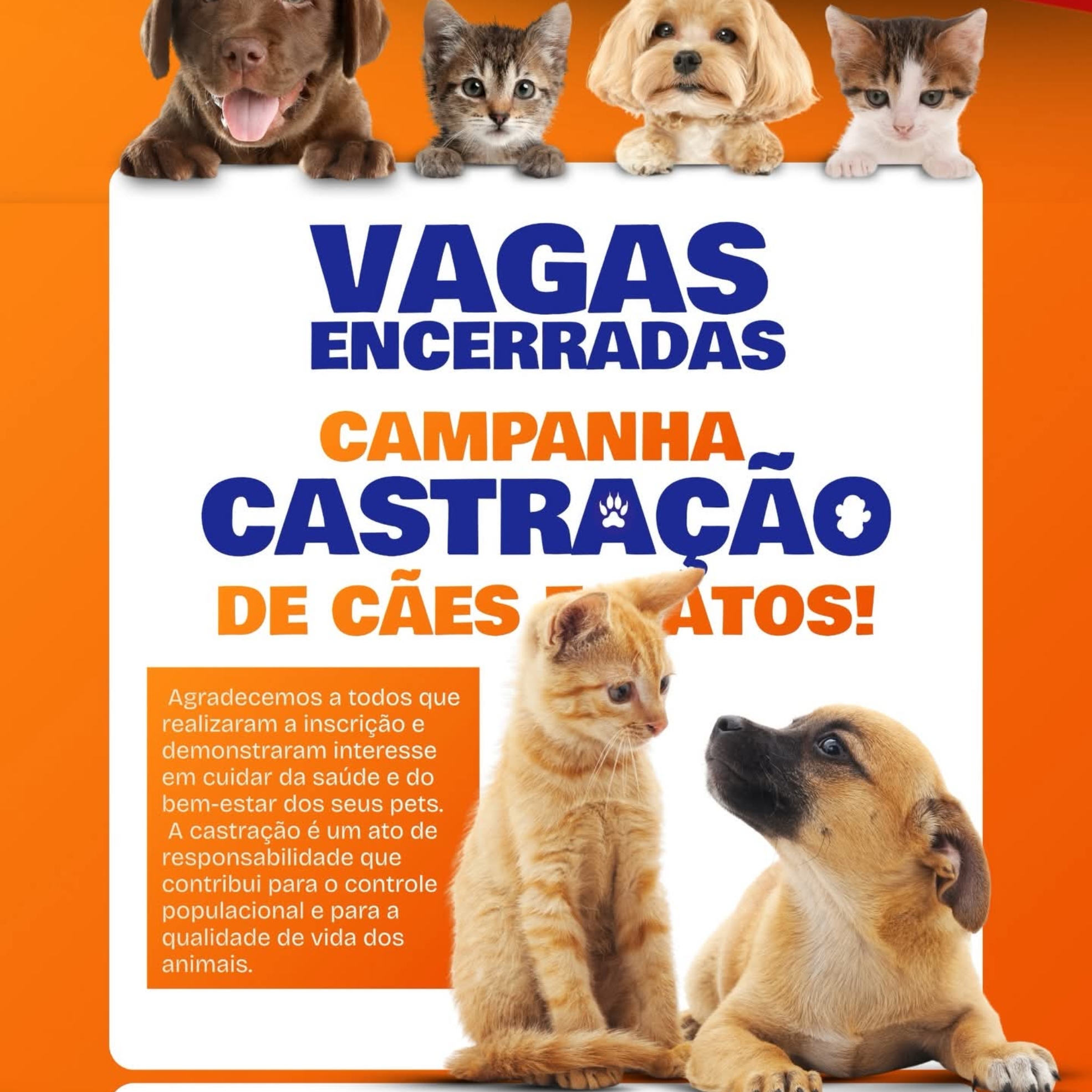 Campanha de castração promovida pela Prefeitura de Jandira reforça a importância do cuidado responsável e do bem-estar de cães e gatos no município. Foto: Prefeitura De Jandira (Redes Sociais/Reprodução) 🐶🐱