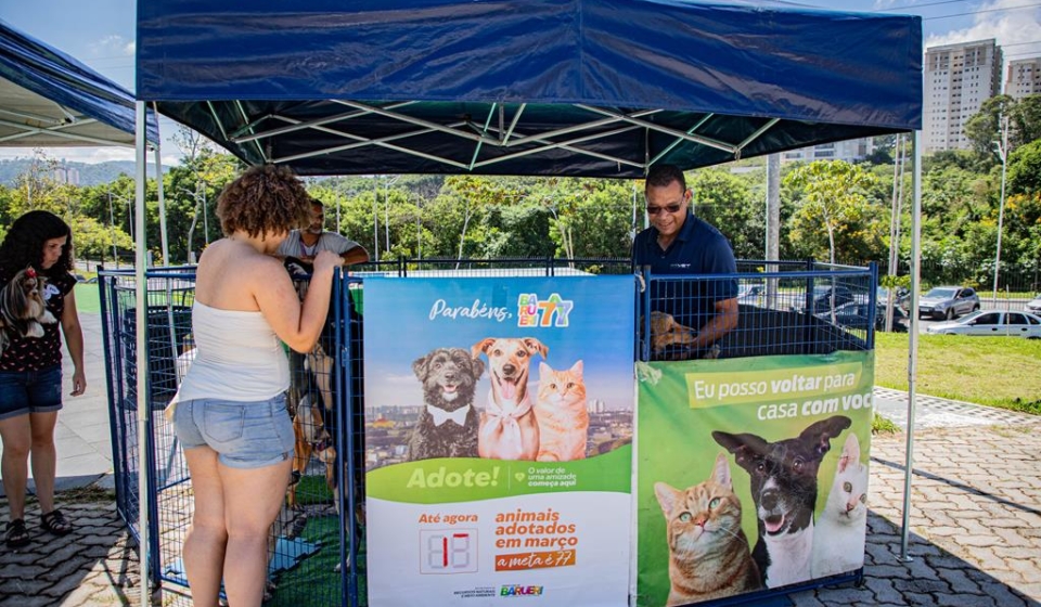 Animais resgatados aguardam por um novo lar durante as feiras organizadas pelo Cepad em diferentes pontos de Barueri
Crédito das fotos: Ana Carolina Guice/Secom Barueri