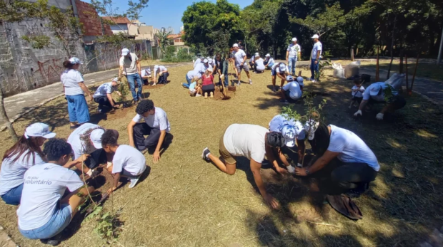 Projeto de Mini Pomares Urbanos amplia áreas verdes, incentiva a educação ambiental e promove segurança alimentar em diferentes regiões de Osasco. Fotos: Sesan/PMO
