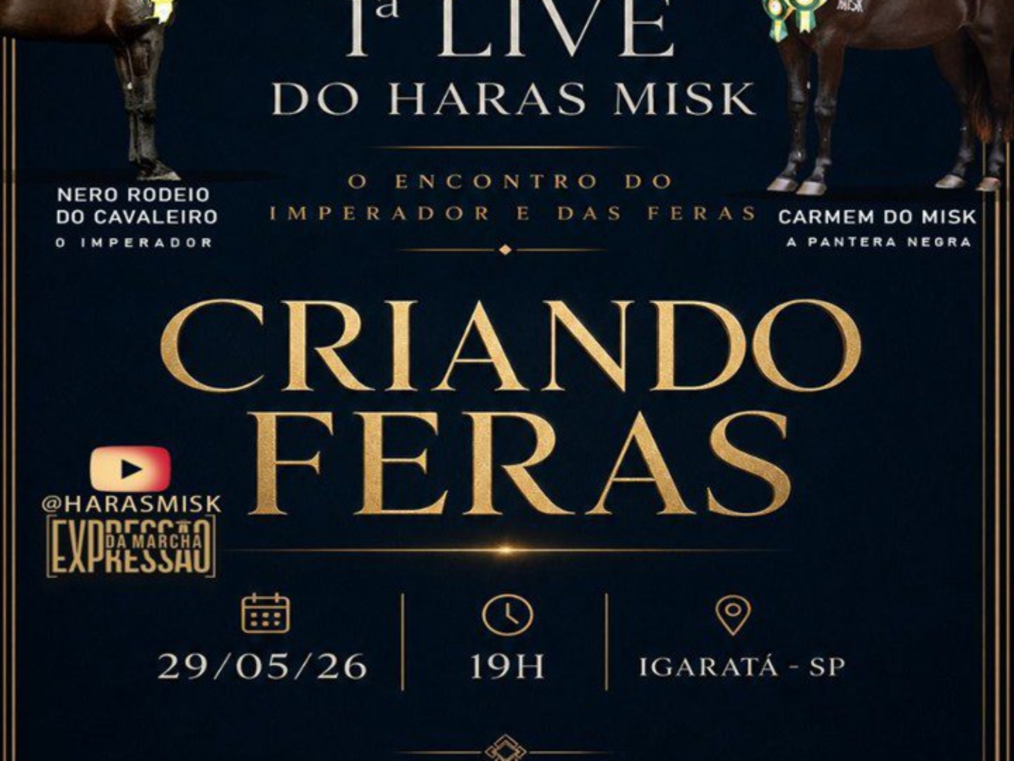 Haras Misk consolida protagonismo nacional no Mangalarga Marchador e apresenta animais de elite em live exclusiva nesta sexta-feira (29.05).

Crédito: Divulgação 