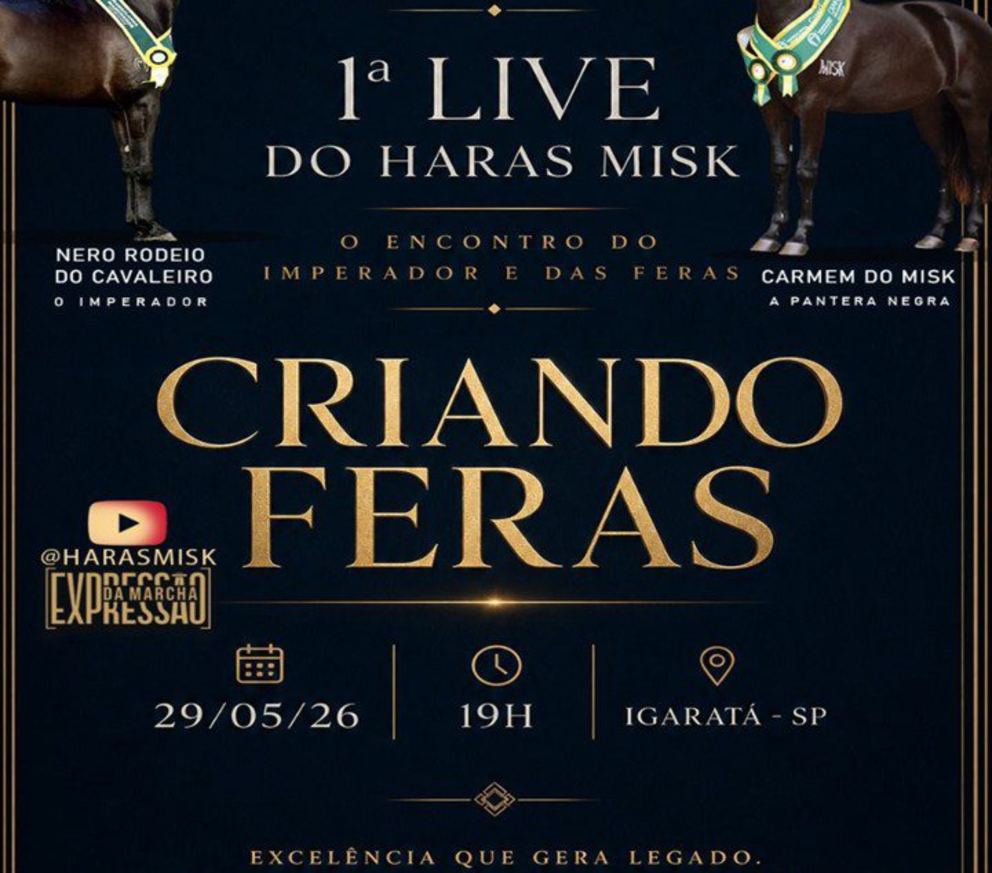 Haras Misk consolida protagonismo nacional no Mangalarga Marchador e apresenta animais de elite em live exclusiva nesta sexta-feira (29.05).

Crédito: Divulgação 