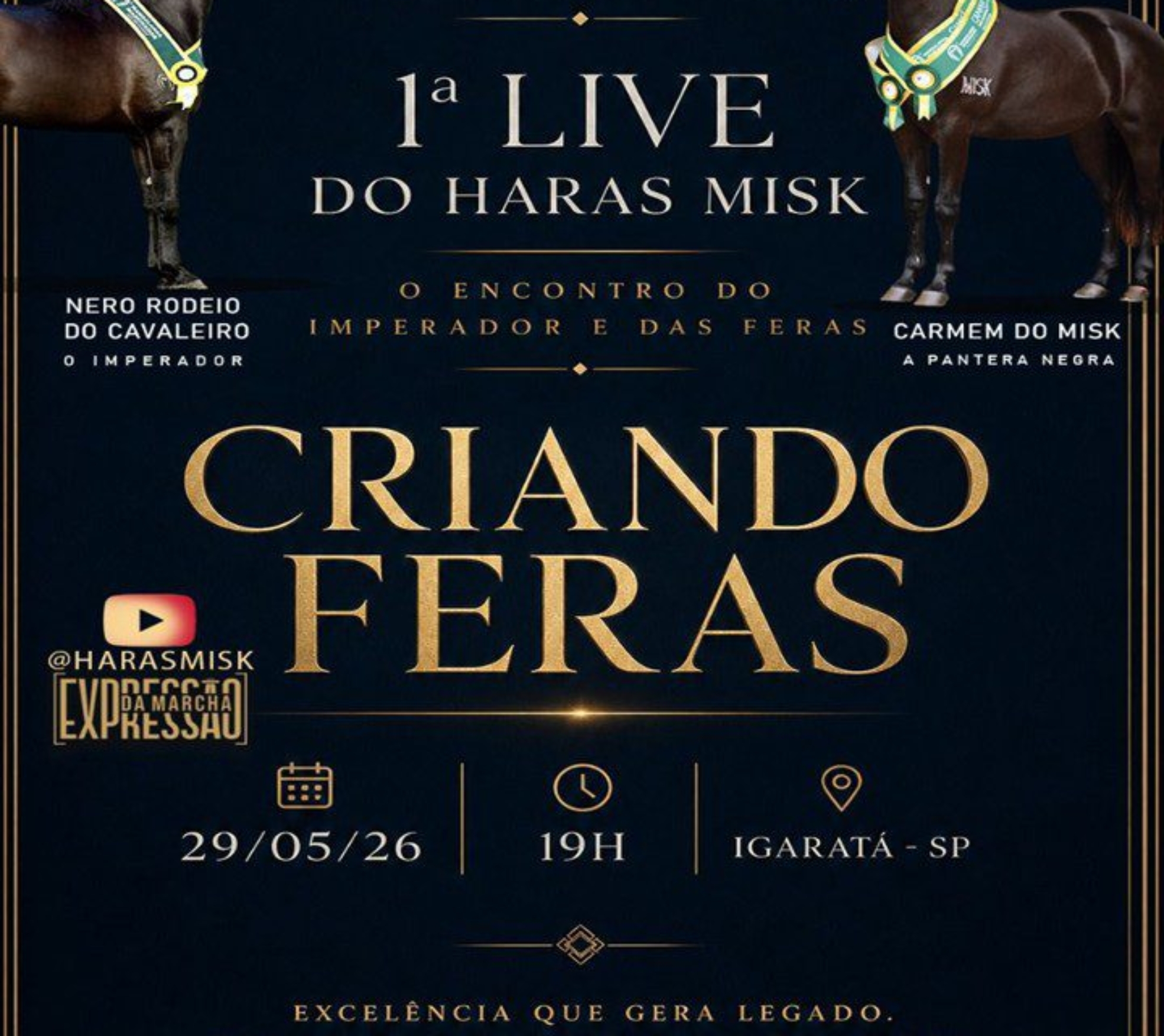Haras Misk consolida protagonismo nacional no Mangalarga Marchador e apresenta animais de elite em live exclusiva nesta sexta-feira (29.05).

Crédito: Divulgação 