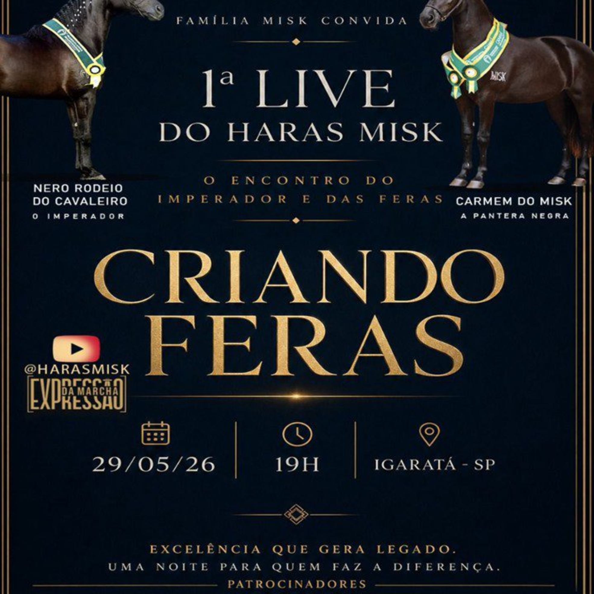 Haras Misk consolida protagonismo nacional no Mangalarga Marchador e apresenta animais de elite em live exclusiva nesta sexta-feira (29.05).

Crédito: Divulgação 