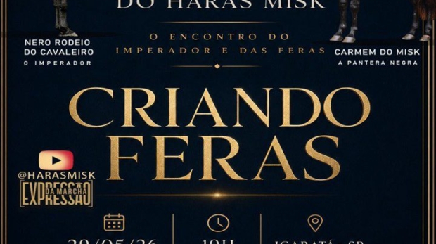 Haras Misk consolida protagonismo nacional no Mangalarga Marchador e apresenta animais de elite em live exclusiva nesta sexta-feira (29.05).
Crédito: Divulgação