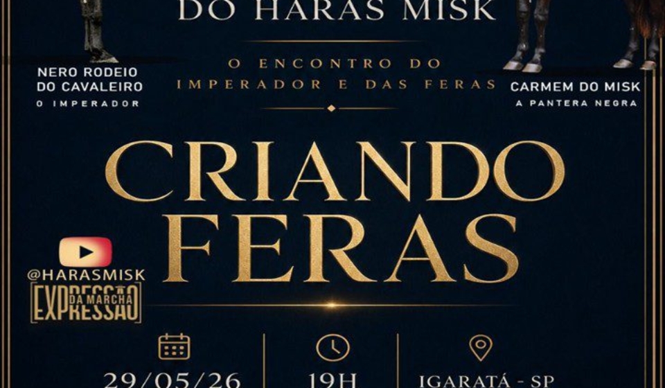 Haras Misk consolida protagonismo nacional no Mangalarga Marchador e apresenta animais de elite em live exclusiva nesta sexta-feira (29.05).

Crédito: Divulgação 
