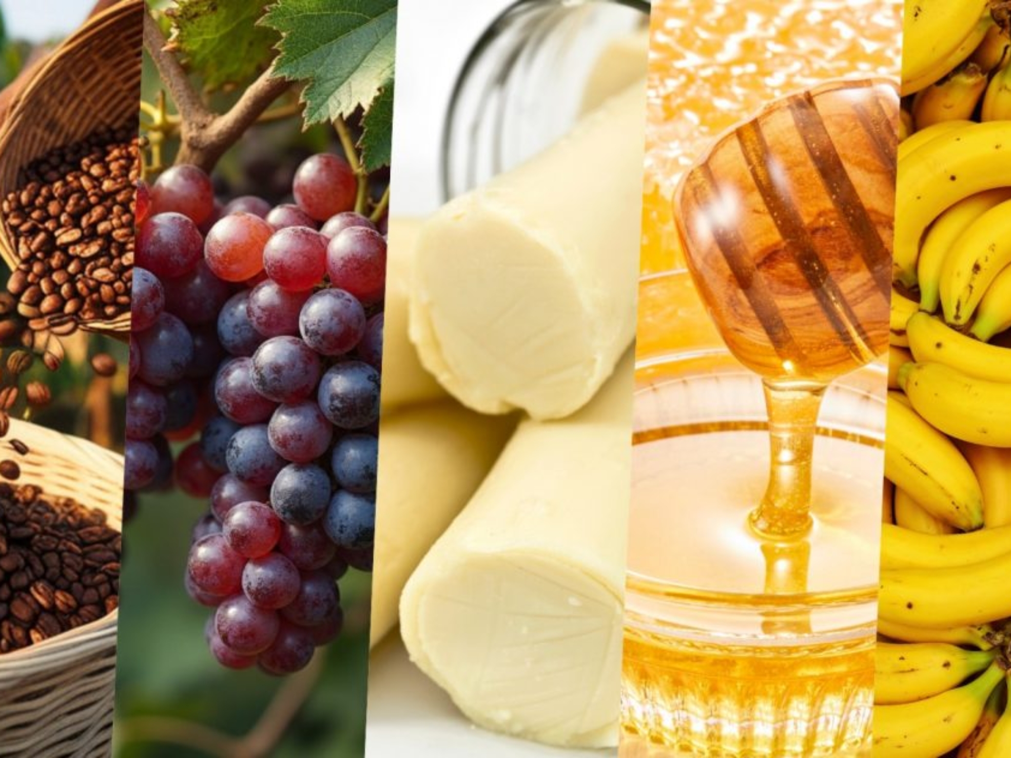 Cada região carrega tecnologia, sabores, tradições e formas de produção que fazem seus produtos serem únicos

Credito: CATI