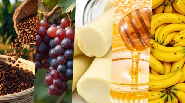 Cada região carrega tecnologia, sabores, tradições e formas de produção que fazem seus produtos serem únicos

Credito: CATI