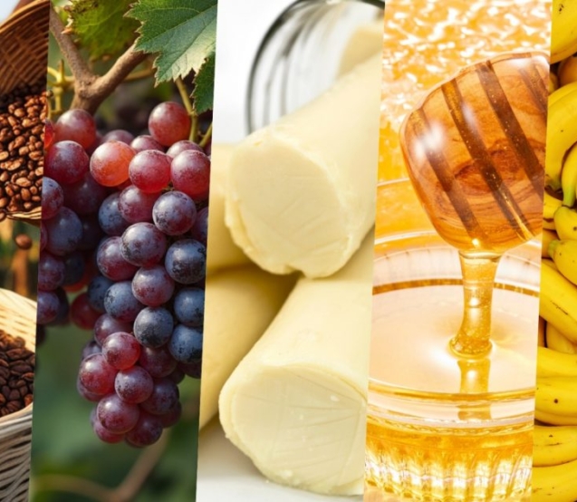 Cada região carrega tecnologia, sabores, tradições e formas de produção que fazem seus produtos serem únicos

Credito: CATI