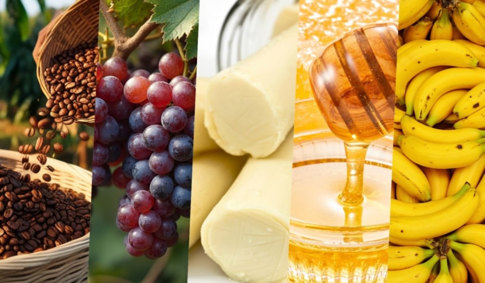 Cada região carrega tecnologia, sabores, tradições e formas de produção que fazem seus produtos serem únicos

Credito: CATI