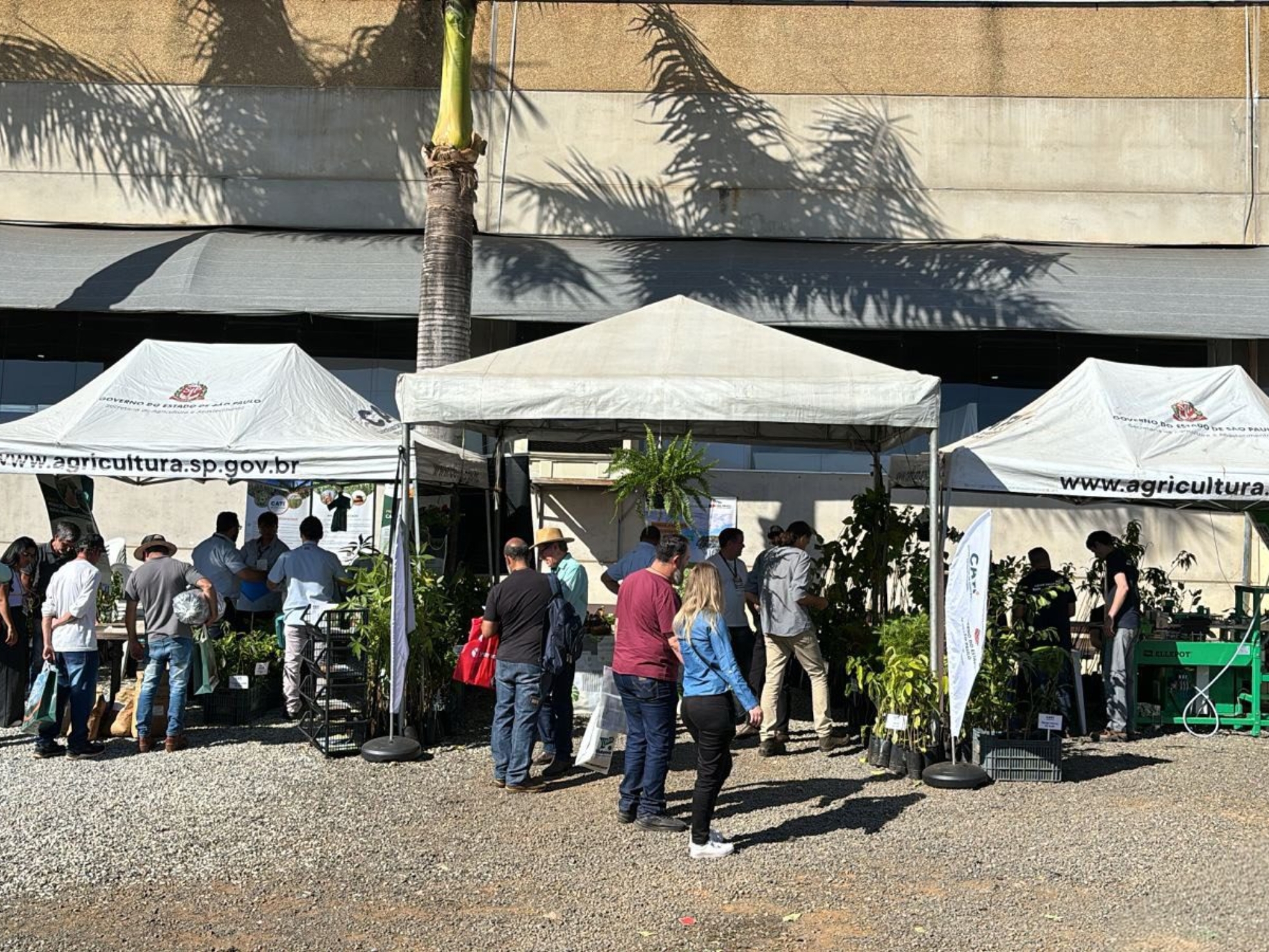 Representantes da CATI recebem produtores rurais durante a 31ª Hortitec, em Holambra, apresentando projetos, tecnologias, cultivares e orientações gratuitas voltadas ao fortalecimento da horticultura paulista.

Crédito: Divulgação