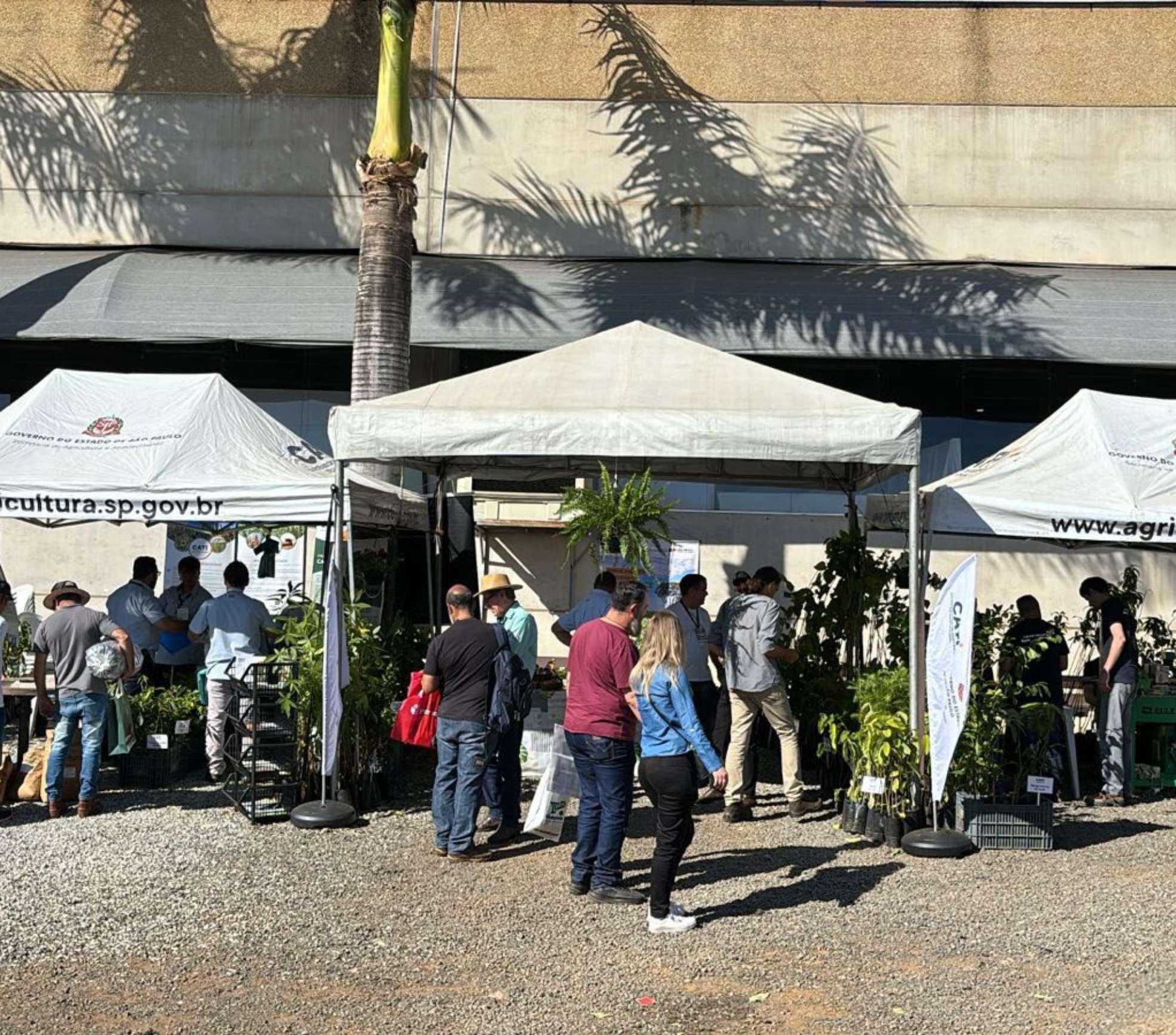 Representantes da CATI recebem produtores rurais durante a 31ª Hortitec, em Holambra, apresentando projetos, tecnologias, cultivares e orientações gratuitas voltadas ao fortalecimento da horticultura paulista.

Crédito: Divulgação